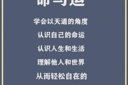 一九五八年出生的人：命运与性格的深刻解析与人生指南
