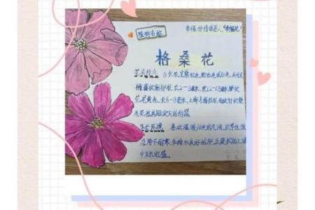 探寻1997年正月三十诞生命格的奥秘与生活启示