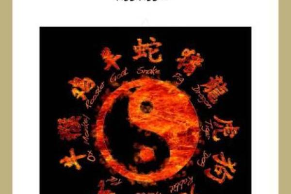 根据时辰属龙男孩命运解析：揭示命理背后的奥秘与影响