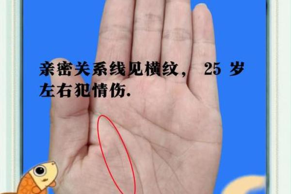 算命中最受欢迎的手相命理探秘，揭示命运之钥！