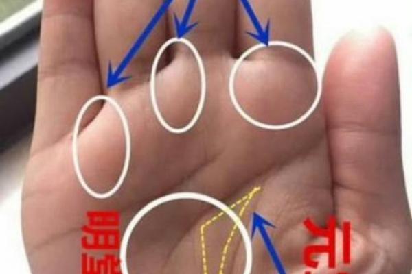算命中最受欢迎的手相命理探秘，揭示命运之钥！