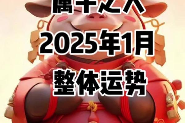 属牛的命理分析：缺什么如何提升运势，助你行稳致远！