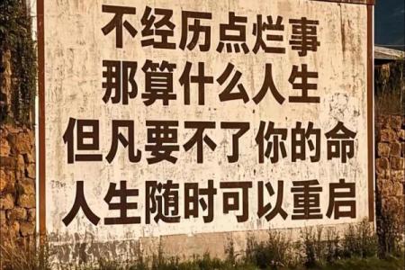 如何用“命”解析人生的可能性与选择之道