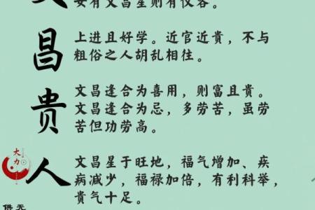 揭开命理之谜：为何文昌星在学习与事业中至关重要？