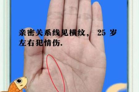 算命中最受欢迎的手相命理探秘，揭示命运之钥！