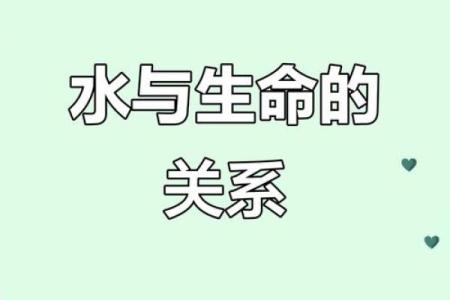 探寻2012水命的奥秘：命理与人生的深刻联系