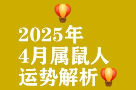 2020年鼠年：命理解析与人生运势深度探索