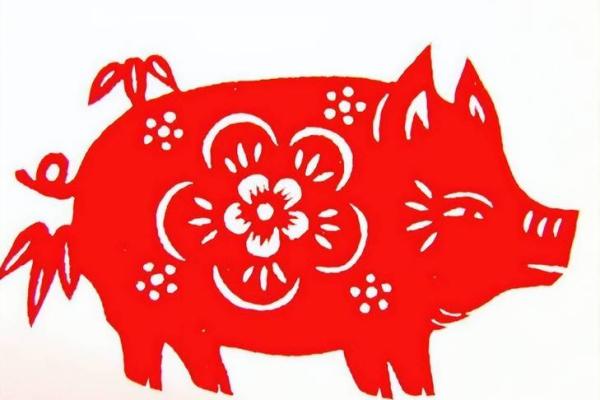 解秘属猪之命：八种命运的揭示与启示