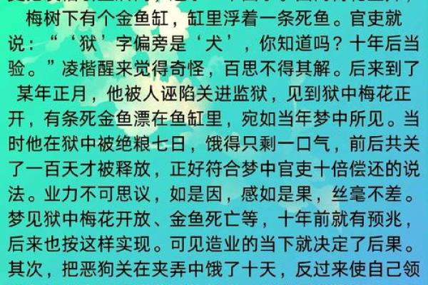 探究姑子命背后的因果关系与其独特的生活智慧