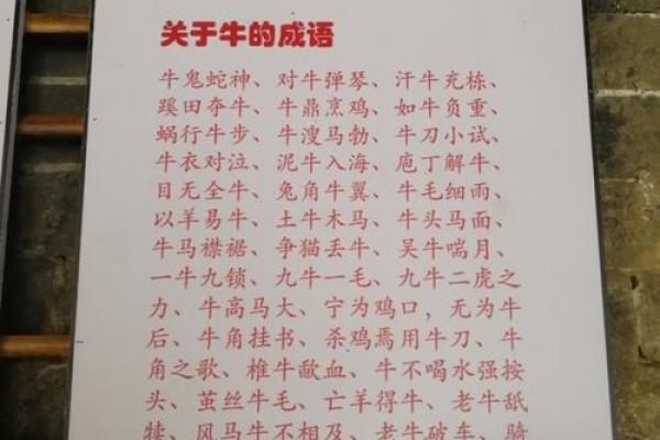 去年的牛年与命运：生肖牛的深层解析与影响