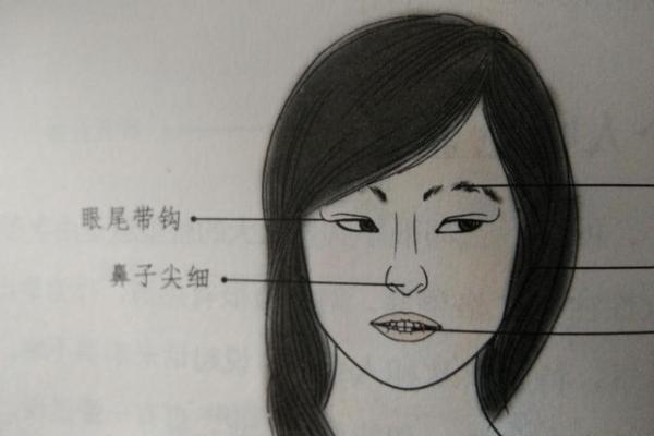 生肖与寡妇命女的奥秘：你属于哪个命运？