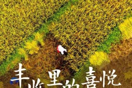 金秋丰收的季节，阐释金秋命的深刻意义与价值