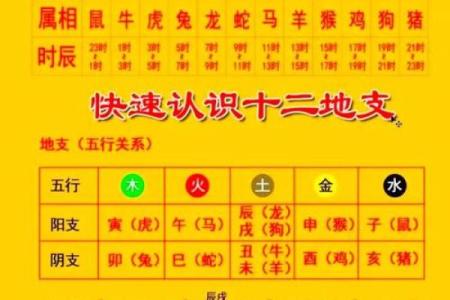 2220年命理解析：全面解读这一年的象征与启示