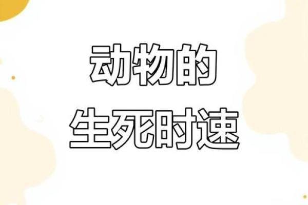 命贱穷途——揭示动物世界中的生存智慧与逆境之路 命贱穷途——揭示动物世界中的生存智慧与逆境之路