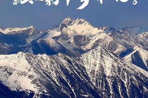 拼搏人生：用努力与坚持换来的成长与收获