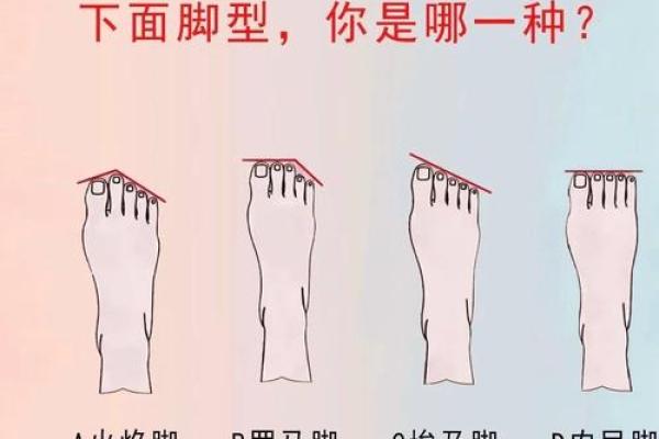 探索脚型对男生命运的影响，揭示你无法想象的秘密！