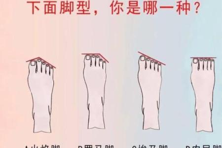 探索脚型对男生命运的影响，揭示你无法想象的秘密！