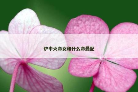 火命人士适合在这些日子结婚，开启幸福生活之旅！