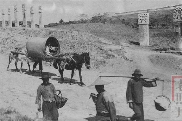 轿子命解析:探究轿子命的含义与影响力 轿子命解析:探究轿子命的含义与影响力