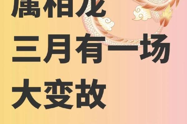 2025年龙年命运解析：揭示你的未来与机遇