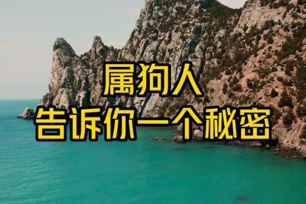 1982年出生的你，属狗命的秘密与人生启示