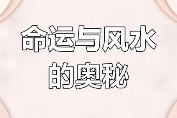 揭示命运奥秘：算命先生为你解读人生机遇与挑战