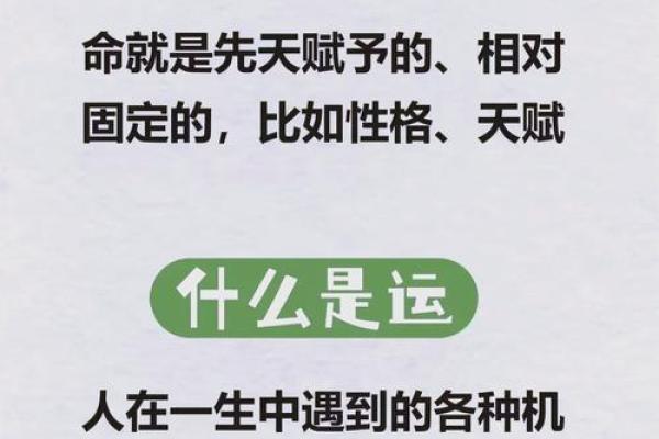 揭示命运奥秘：算命先生为你解读人生机遇与挑战