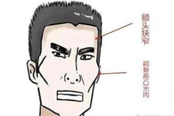 额头宽的男人命运揭秘:从面相看人生轨迹与成功之道 额头宽的男人命运揭秘:从面相看人生轨迹与成功之道