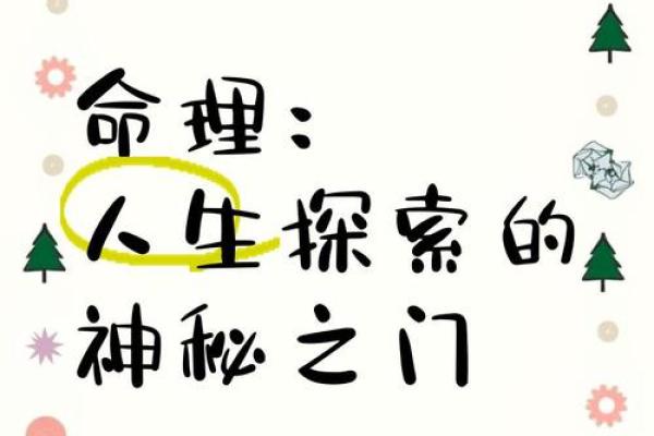 命理学的奥秘：探索人生的轨迹与命运的交织