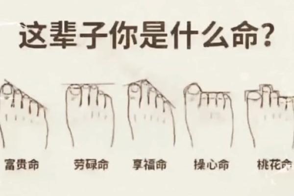 脚趾高低与命运的秘密:探索身体与人生的奇妙联系 脚趾高低与命运的秘密:探索身体与人生的奇妙联系