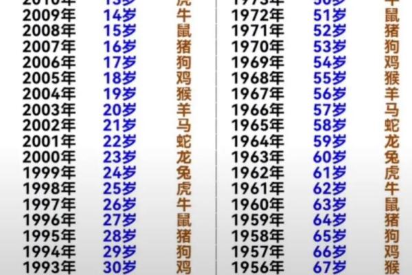 甲辰年生人命运解析:揭示你的性格与运势之路 甲辰年生人命运解析:揭示你的性格与运势之路