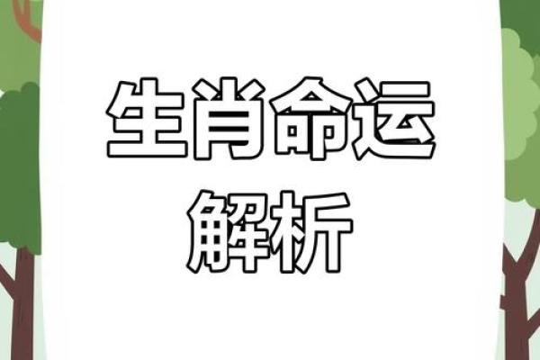 探索天然生肖命格：你属什么，命运如何？