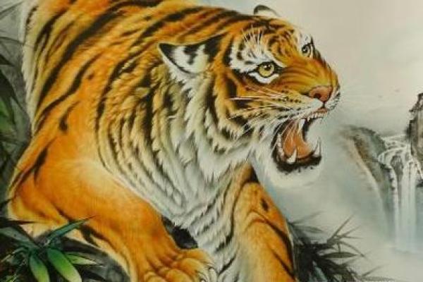 浅析“下山虎”的命理含义与人生启示 浅析“下山虎”的命理含义与人生启示