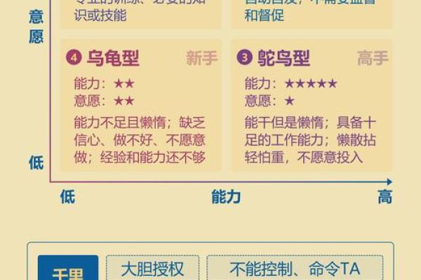 揭秘土命人的职业选择：适合你的理想职业！