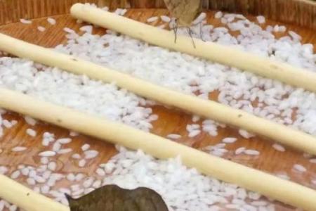 轿子命解析：探究轿子命的含义与影响力