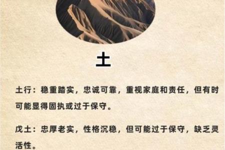 224年是什么木命——揭秘木命的五行特性与文化含义