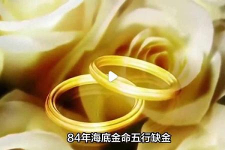 大海金命人物适合佩戴的饰品与吉祥寓意探秘