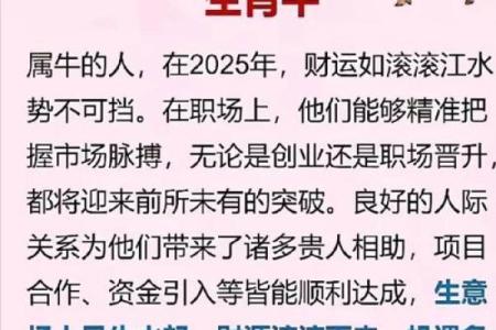 1981年属牛的人：稳重踏实，开创精彩人生的秘钥