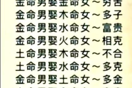 揭秘土命人的职业选择：适合你的理想职业！