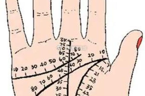 揭密女性双手横纹：命运与性格的秘密