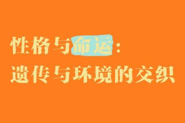 性格决定命运：探寻不同性格与命运之间的联系