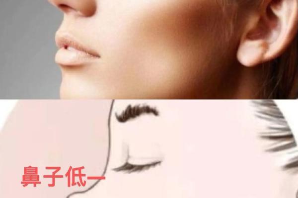 男生鼻子高的命运分析：从面相看人生之路