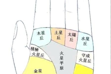 揭密女性双手横纹：命运与性格的秘密