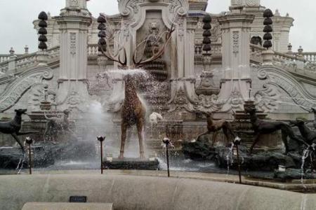 探究命理中的水花生肖：水的浪漫与生肖的神秘交响曲