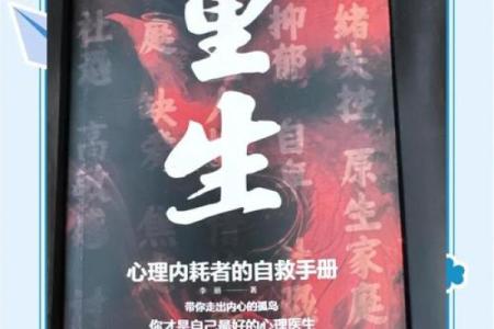 40岁丧夫：命运的低谷与重生的希望