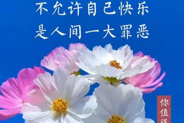 乐于应命：追求快乐与责任的平衡之道