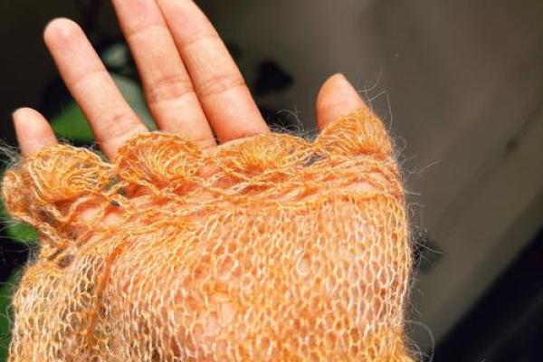 胳膊汗毛重，命运是否也会受到影响？探寻背后的奥秘