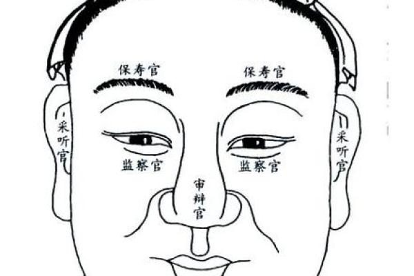 探寻癸亥年生人的命理奥秘与人生轨迹 探寻癸亥年生人的命理奥秘与人生轨迹