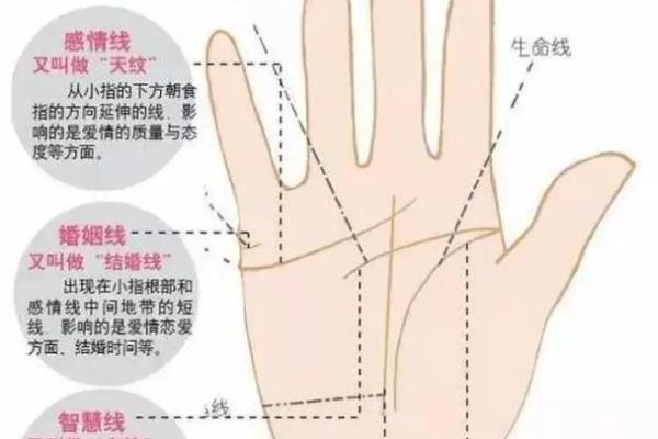 看手纹，解读你命中注定的未来与运势