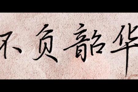 乐于应命：追求快乐与责任的平衡之道